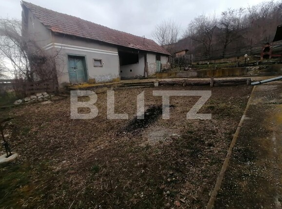 Casa de vânzare 3 camere  Exterior Est - 110279CV | BLITZ Alba Iulia | Poza3