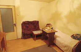 Garsoniera, cetate, parter inalt