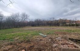 Casa individuala 2 anexe Comuna Cricău