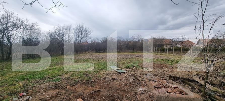 Casa de vânzare 4 camere Exterior Vest - 110361CV | BLITZ Alba Iulia | Poza2