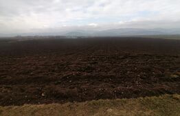 Teren extravilan 21300 mp zona Vintu de Jos