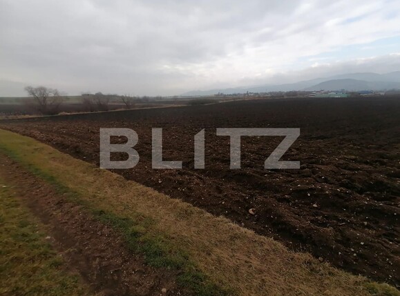 Teren de vânzare Exterior Vest - 110455TV | BLITZ Alba Iulia | Poza1