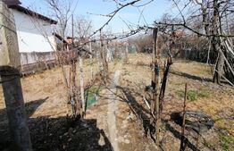 Casa 3 camere aprox. 60m utili plus anexe 1000 mp Zona Centrala