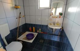 Casa 3 camere aprox. 60m utili plus anexe 1000 mp Zona Centrala