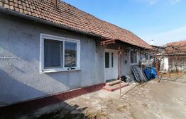 Casa 3 camere aprox. 60m utili plus anexe 1000 mp Zona Centrala