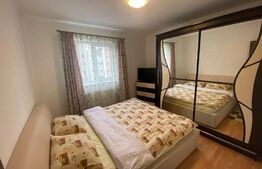 Apartament 2 camere, etaj 2, zona Cetate