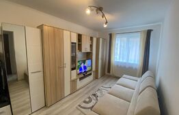 Apartament 2 camere, etaj 2, zona Cetate