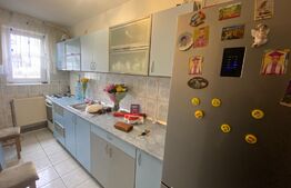 Apartament 2 camere, zona Cetate