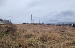 Teren intravilan, 8600 mp, zona Recea