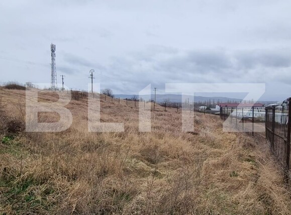Teren de vânzare Cetate - 110703TV | BLITZ Alba Iulia | Poza2