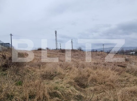 Teren de vânzare Cetate - 110703TV | BLITZ Alba Iulia | Poza1