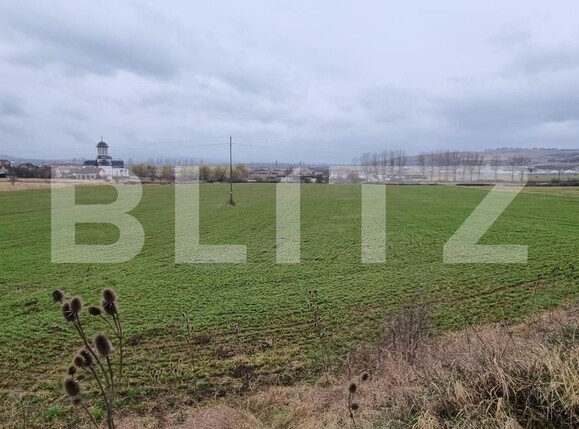 Teren de vânzare Cetate - 110705TV | BLITZ Alba Iulia | Poza1