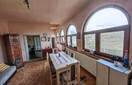 Casă tip conac cu 6283 mp teren și baltă de pești, zona Șard - Ighiu