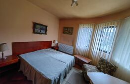 Casă tip conac cu 6283 mp teren și baltă de pești, zona Șard - Ighiu