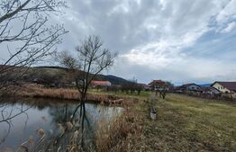 Casă tip conac cu 6283 mp teren și baltă de pești, zona Șard - Ighiu