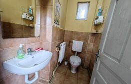 Casă tip conac cu 6283 mp teren și baltă de pești, zona Șard - Ighiu