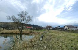 Casă tip conac cu 6283 mp teren și baltă de pești, zona Șard - Ighiu