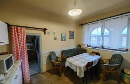 Casă tip conac cu 6283 mp teren și baltă de pești, zona Șard - Ighiu