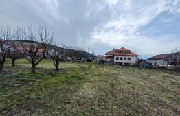 Casă tip conac cu 6283 mp teren și baltă de pești, zona Șard - Ighiu