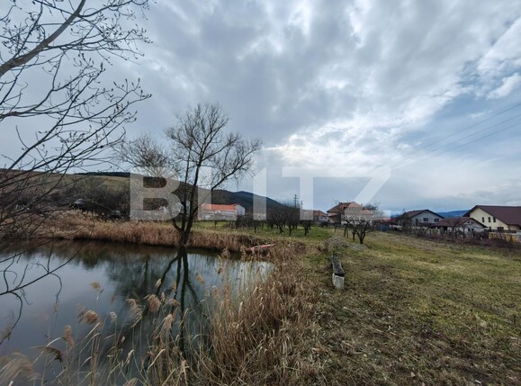 Casa de vânzare 4 camere  Exterior Est - 110707CV | BLITZ Alba Iulia | Poza3