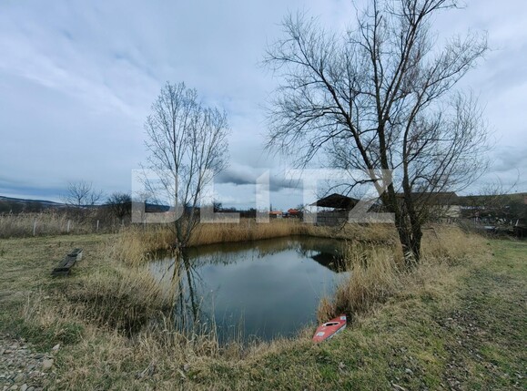 Casa de vânzare 4 camere  Exterior Est - 110707CV | BLITZ Alba Iulia | Poza10