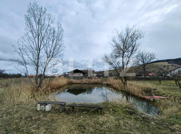 Casa de vânzare 4 camere  Exterior Est - 110707CV | BLITZ Alba Iulia | Poza15