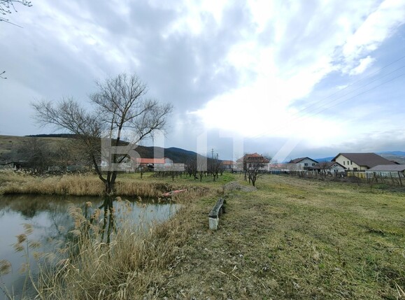 Casa de vânzare 4 camere  Exterior Est - 110707CV | BLITZ Alba Iulia | Poza14