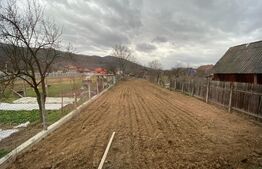 Casa de 350 mp, 700 mp teren, Sard