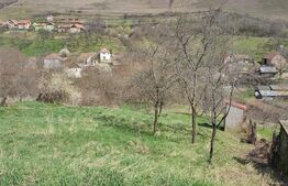 Teren intravilan 1400mp, sat Tibru - Cricau