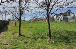 Teren intravilan 1400mp, sat Tibru - Cricau