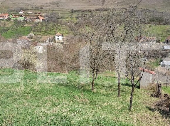 Teren de vânzare Nord Vest - 110949TV | BLITZ Alba Iulia | Poza6