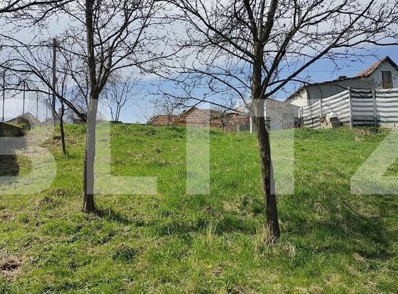 Teren de vânzare Nord Vest - 110949TV | BLITZ Alba Iulia | Poza7