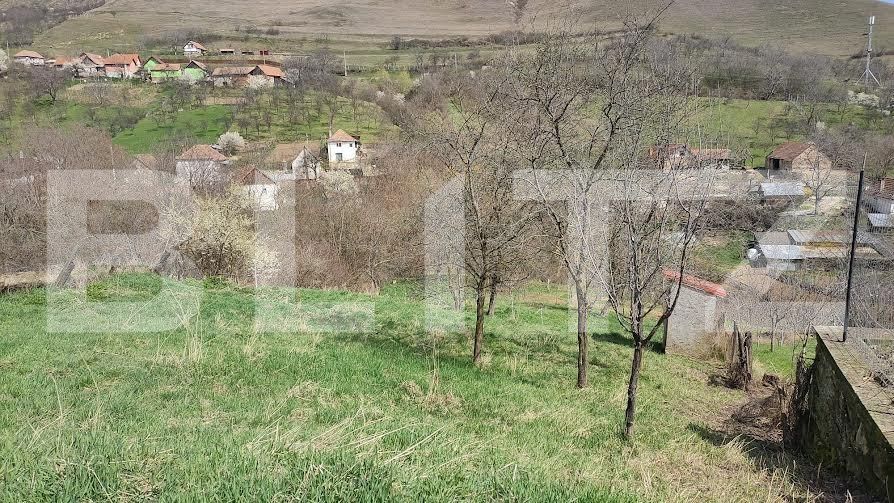 Teren de vânzare Nord Vest - 110949TV | BLITZ Alba Iulia | Poza6