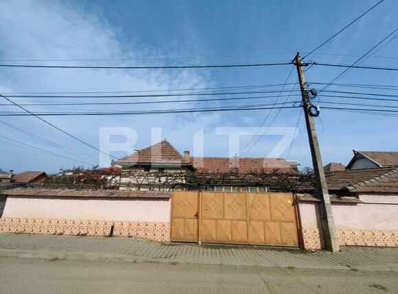Casa de vânzare 4 camere Sebeș - 111152CV | BLITZ Alba Iulia | Poza1