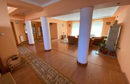 Casa de 200 mp utili, 800 mp teren, Sebes