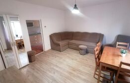 Casa 2 camere bucatarie si gradina 80 mp utili zona Sebes