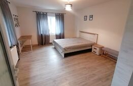Casa 2 camere bucatarie si gradina 80 mp utili zona Sebes