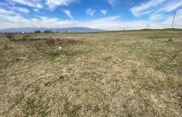 Teren intravilan, 858 mp, zona Partos