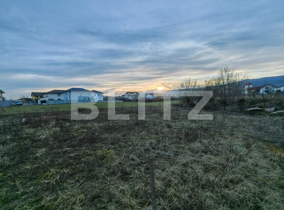 Teren de vânzare Cetate - 111481TV | BLITZ Alba Iulia | Poza3