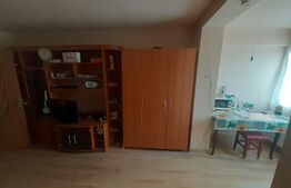 Garsoniera, zona centru, renovata, mobilata si utilata, 28mp