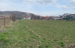 Teren intravilan, 2323 mp, Sard