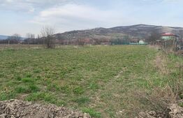 Teren intravilan, 2323 mp, Sard