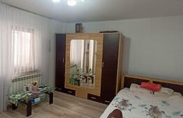 Garsoniera, finisaje moderne, et 2, Ampoi 1