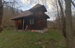 Teren intravilan 2900 mp in Zona Presaca Ampoiului