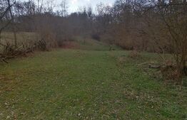 Teren intravilan 2900 mp in Zona Presaca Ampoiului