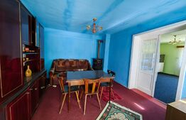 Casă cu 2 camere, 100 mp utili, zona Sebes - Răhău
