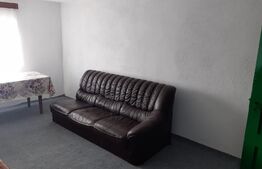 Casă individuală, 65mp utili, zona Sebes-Răhău