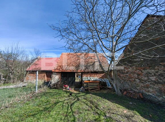 Casa de vânzare 2 camere Sud Est - 112891CV | BLITZ Alba Iulia | Poza9