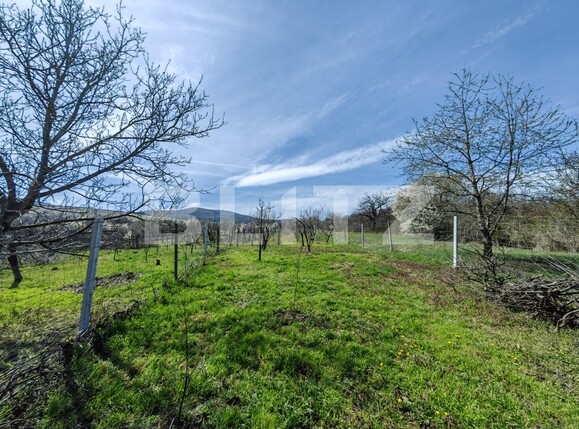 Casa de vânzare 2 camere Sud Est - 112891CV | BLITZ Alba Iulia | Poza8