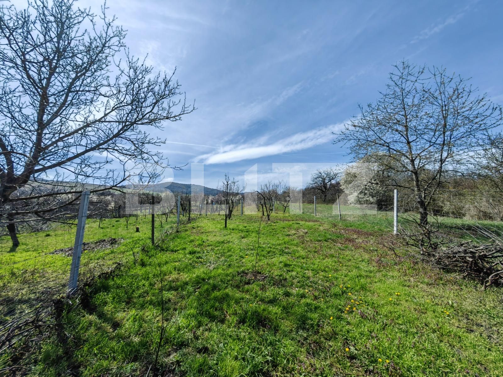 Casa de vânzare 2 camere Sud Est - 112891CV | BLITZ Alba Iulia | Poza8